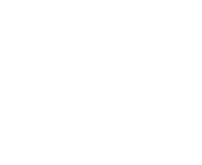 Logo SIBYLLA